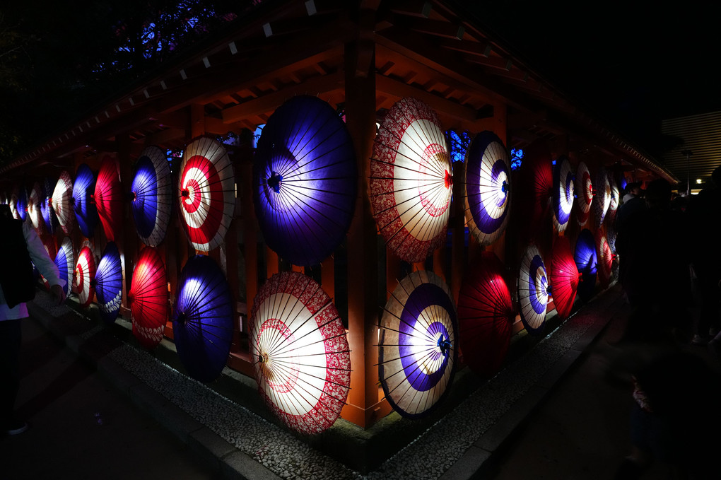 紅葉八幡宮　もみじ祭り（夜の部のみ）