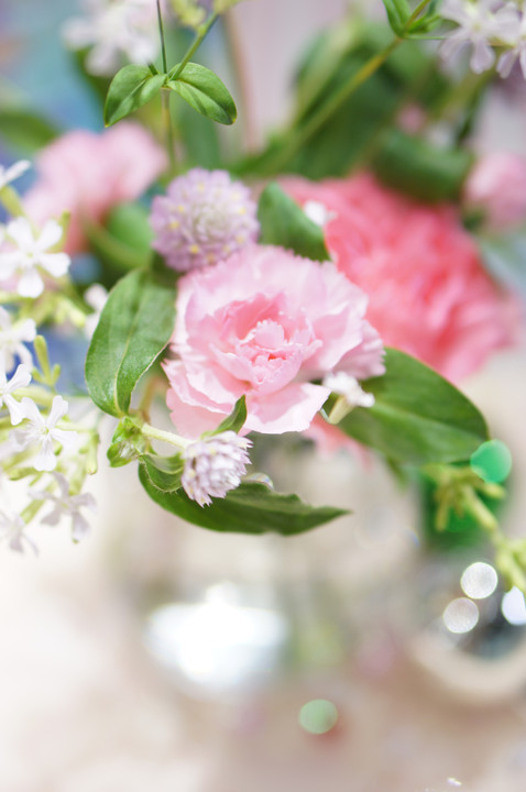 αカフェ体験会｢室内でお花を印象的に撮る」