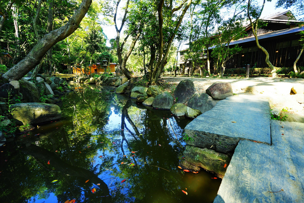 竹林と池泉庭園