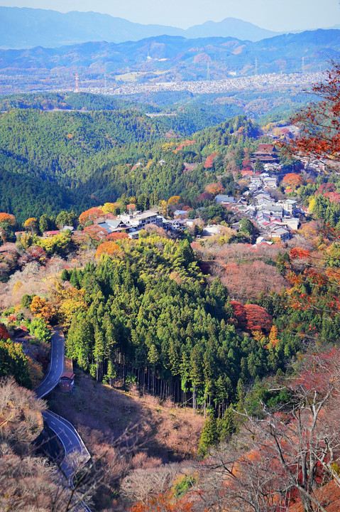 蔵王堂を望む