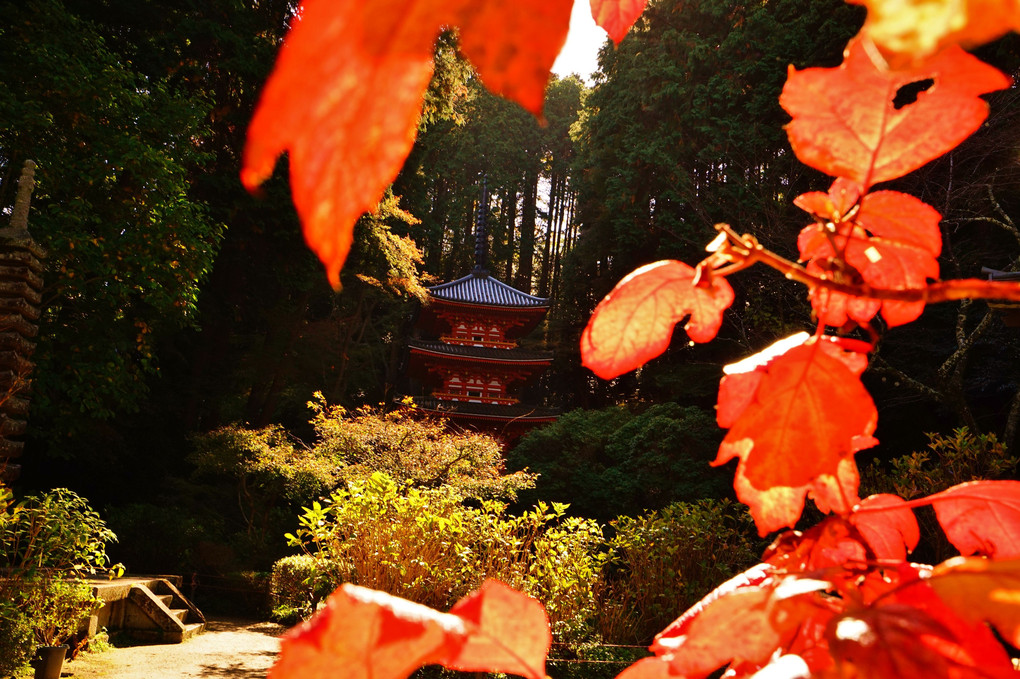 当尾の里、岩船寺の秋