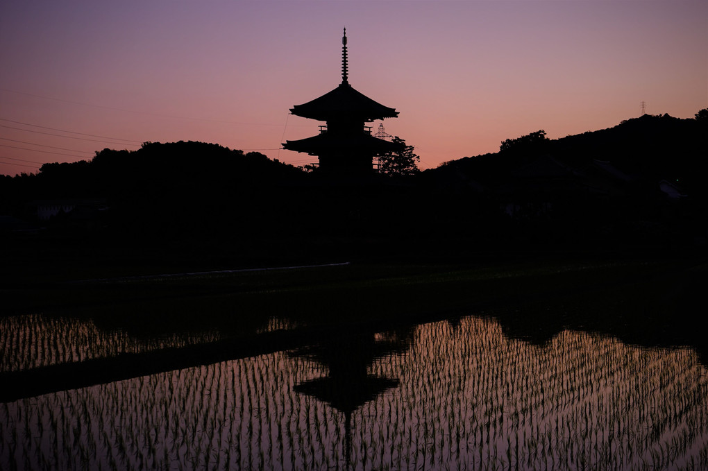 田に映る法起寺