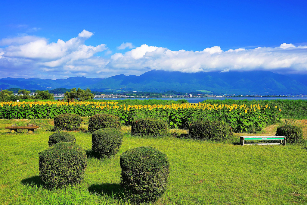 琵琶湖畔の夏景色