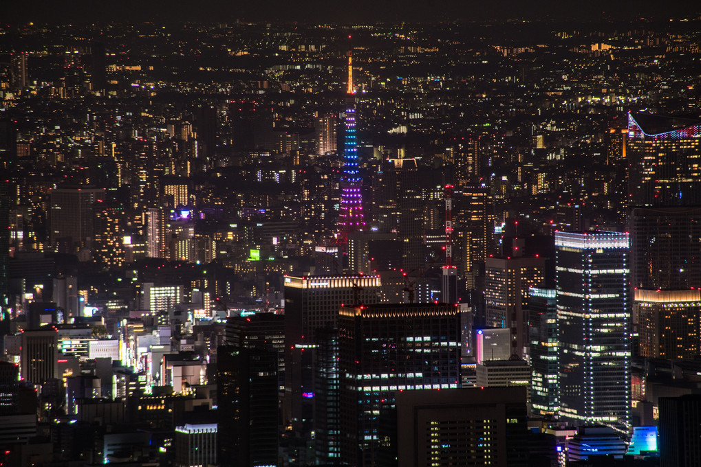 地上の星～スカイツリーからの眺め～