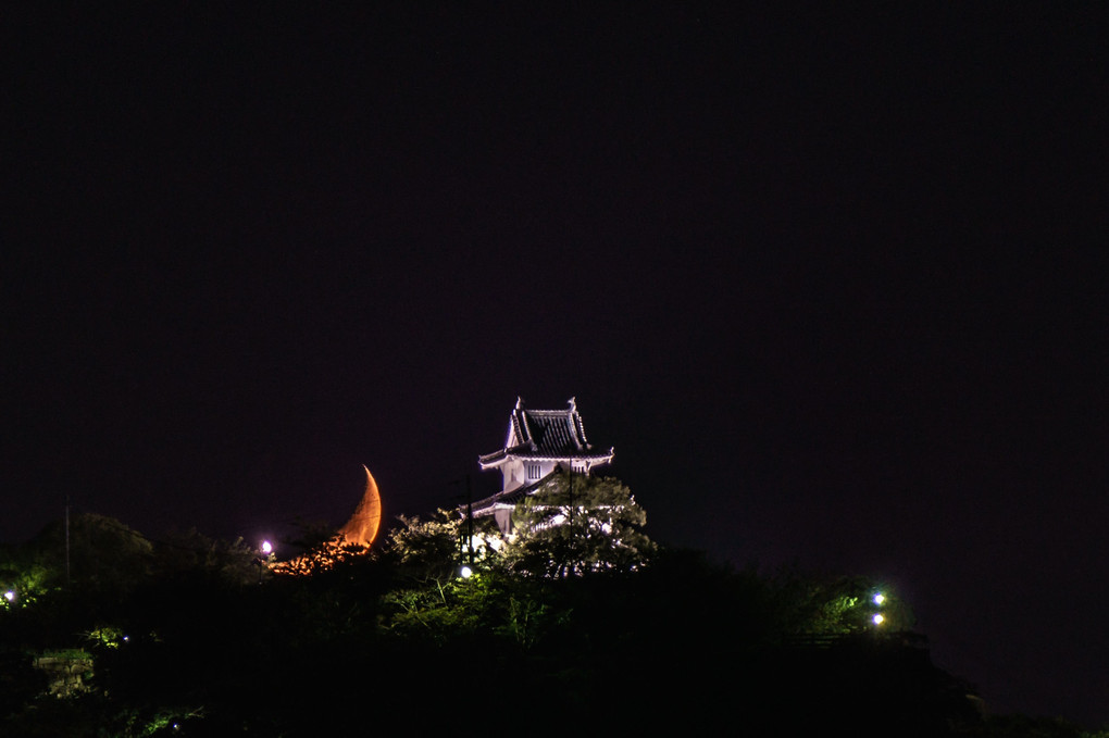月と丸亀城