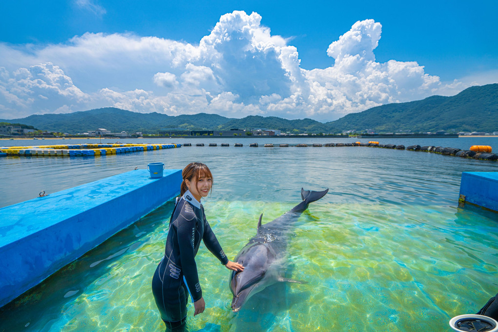 夏休み