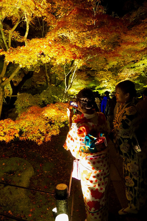 京都の秋には、着物の女性がよく似合う