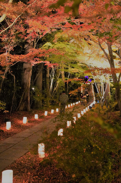 松島、円通院、紅葉を再び。