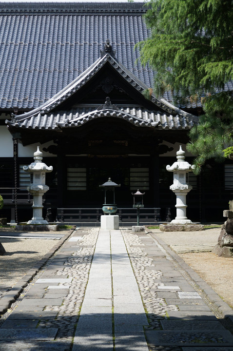 春に続いて、初夏の入り口。