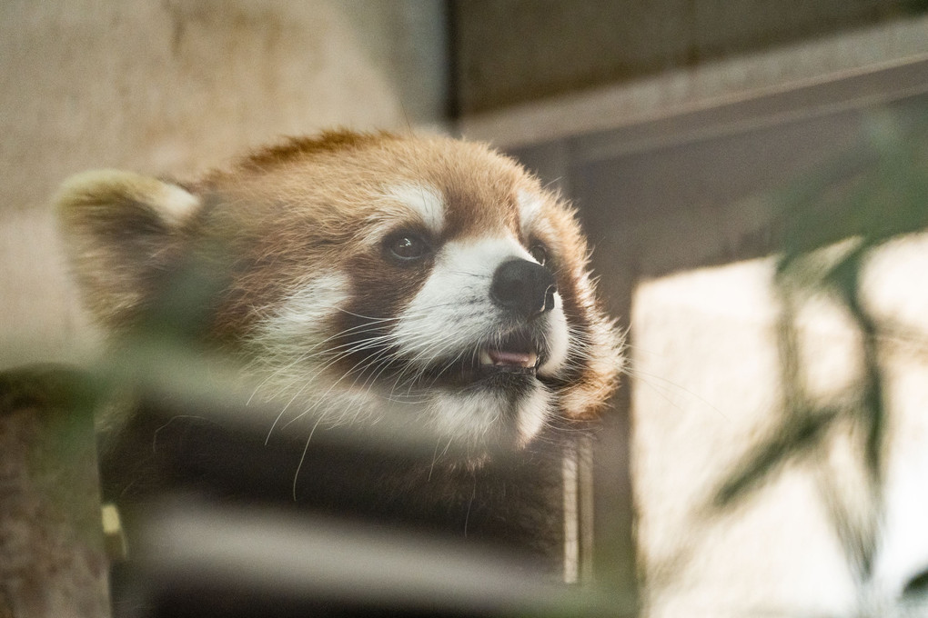 動物園にて