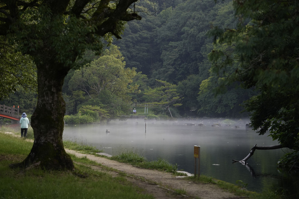 池の霧