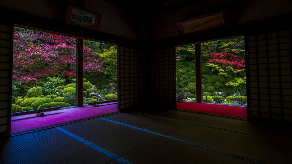 金剛輪寺 紅葉のはじまり