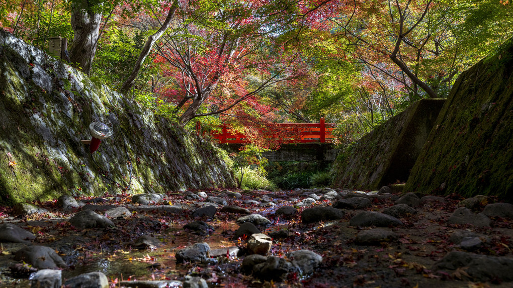 関西紅葉紀行