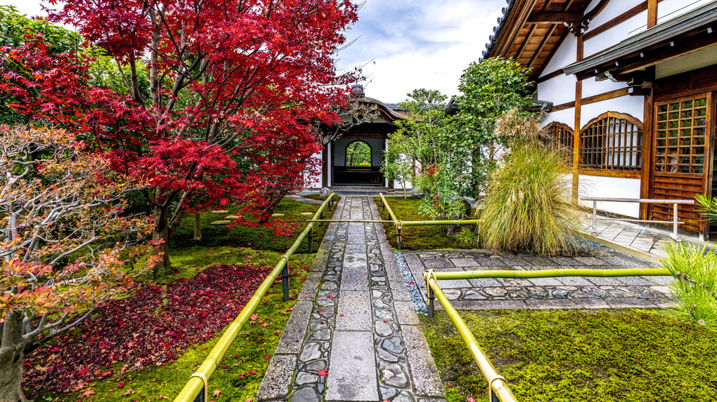 大徳寺興臨院