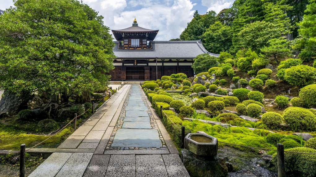 東福寺の夏