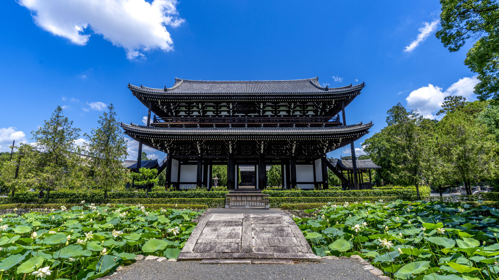 東福寺の夏