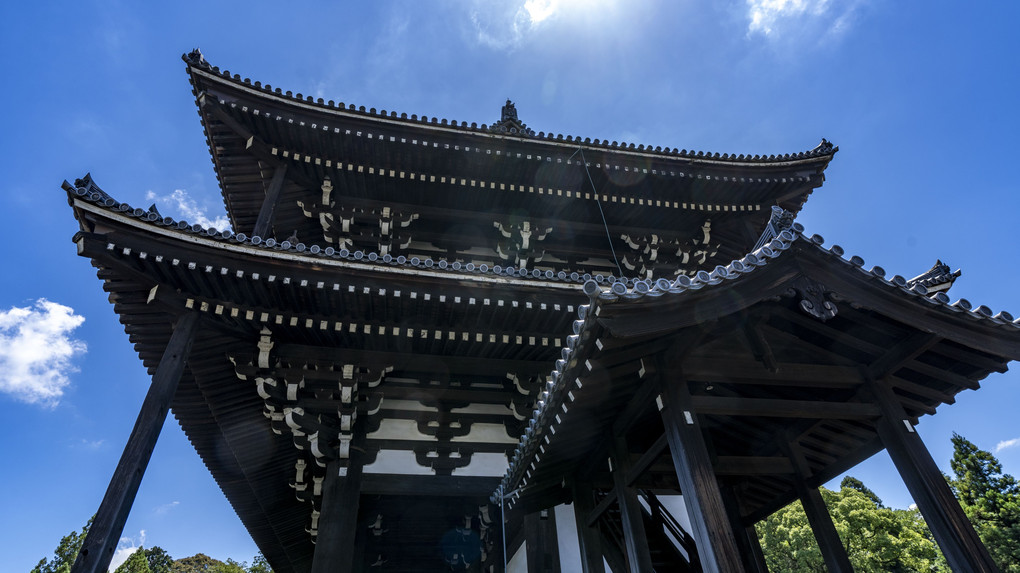 東福寺の夏