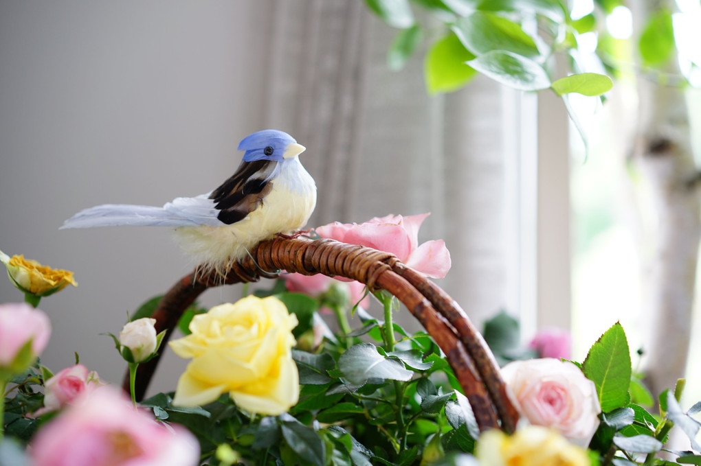 花と器のハーモニー・小鳥さん