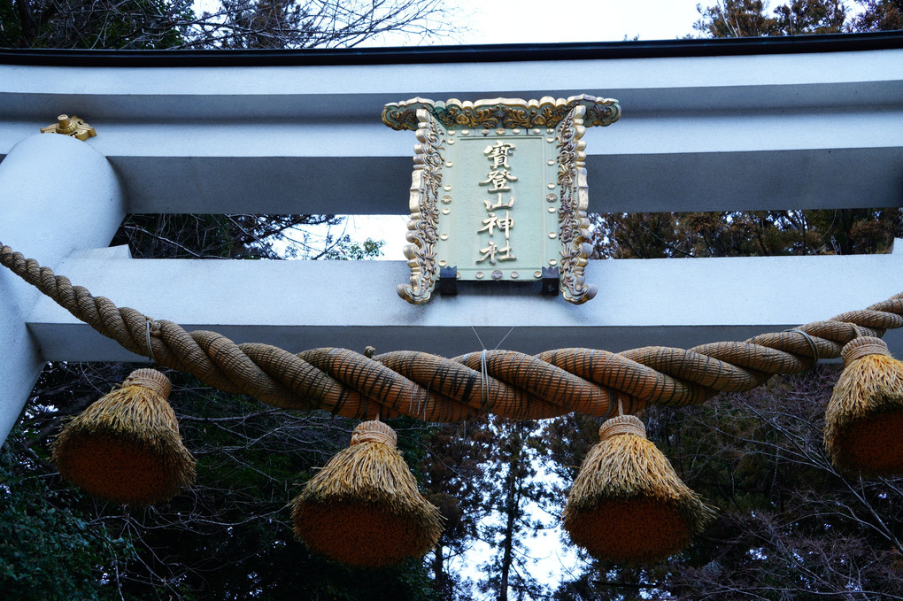 宝登山神社と花