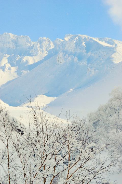 雪山賛歌～α体験会厳冬の富良野・美瑛撮影ツアー～