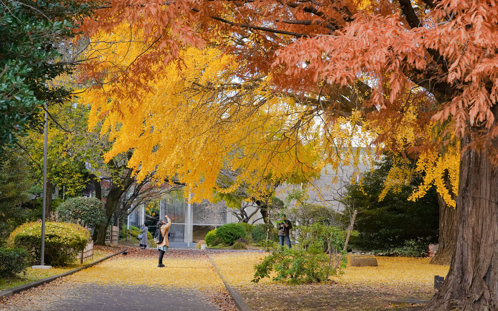 上野・秋の残香