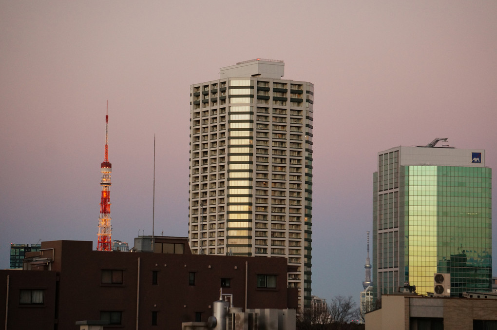 マジックアワー　東のそら　東京タワーとスカイツリー（ギリギリ）