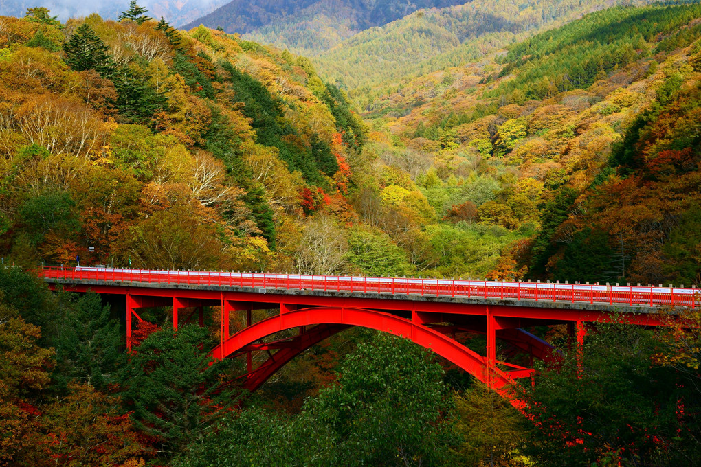 紅葉の山と赤い橋