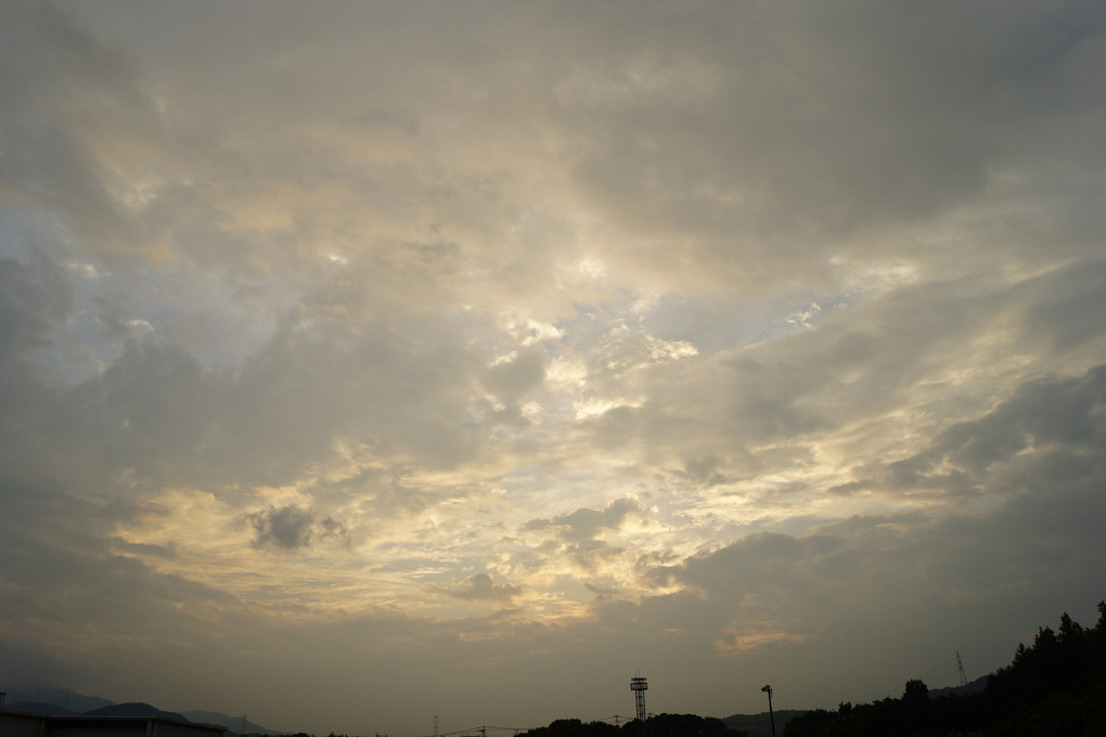 雨上がりの夕方