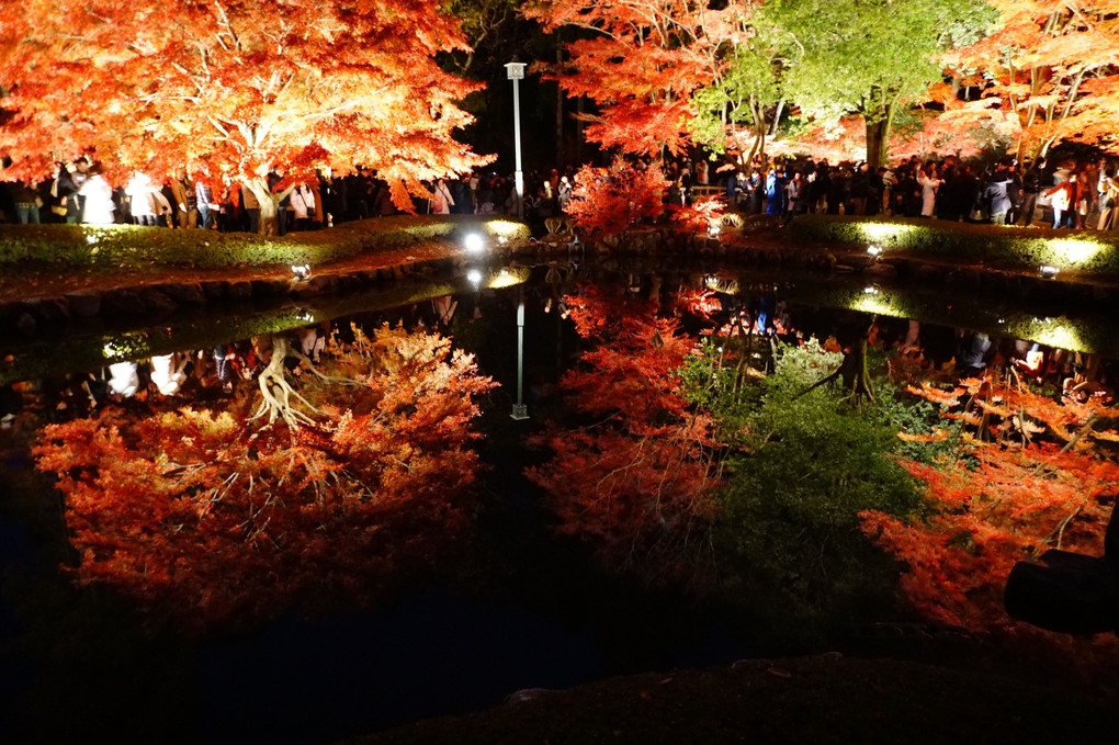 逆さ紅葉　曾木公園