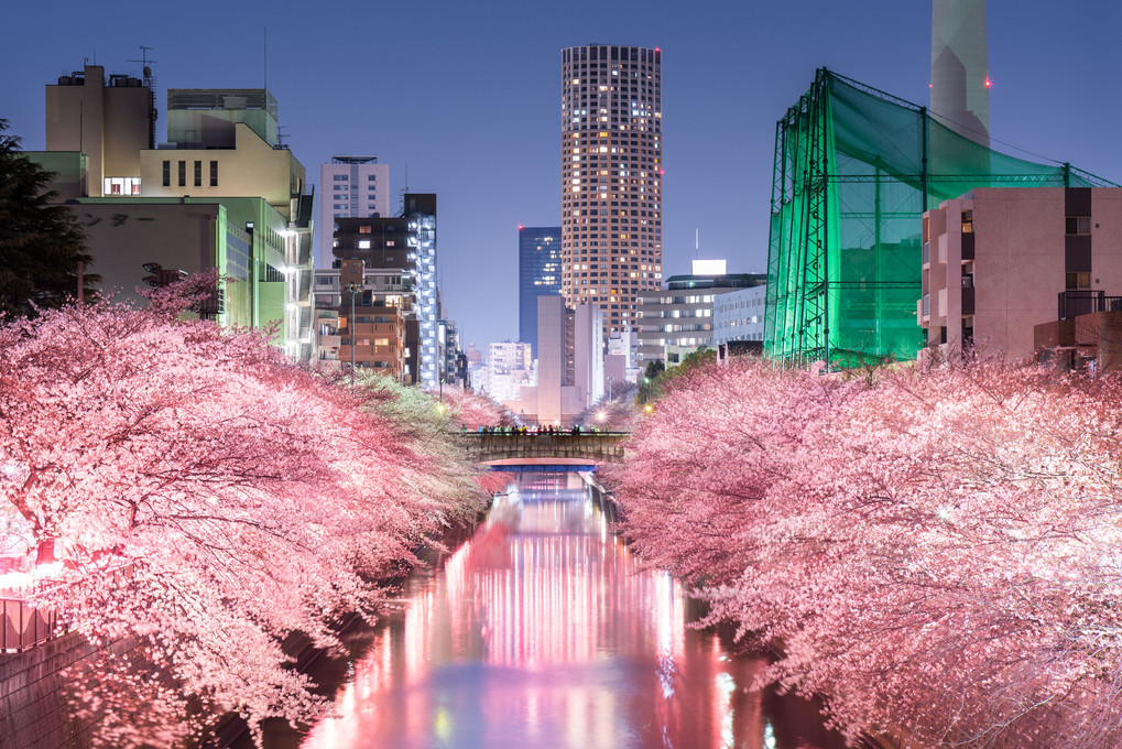 Meguro River