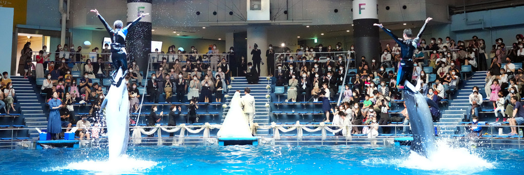 "Heartful" Dolphin Wedding