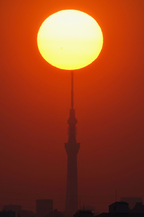 夜明けのスカイツリー