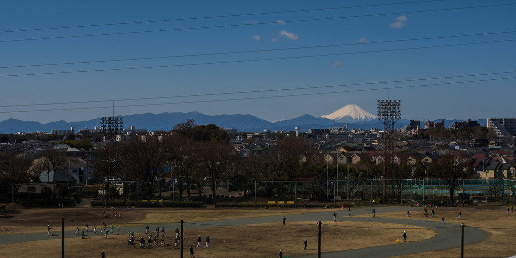東京から見た富士