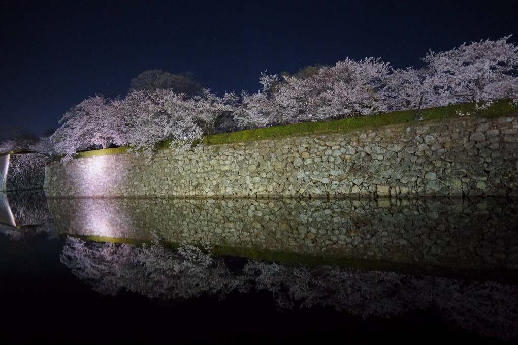 姫路城の堀と桜のリフレクション #さくら咲く