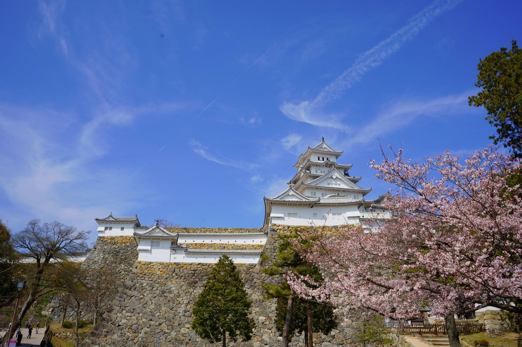 世界遺産姫路城