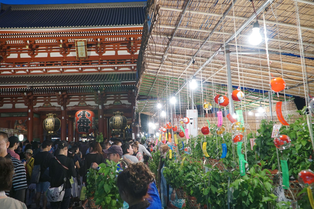 四万六千日の賑わい  浅草寺 ほおずき市