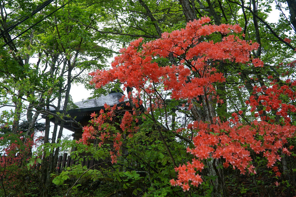 中禅寺湖畔 千手が浜