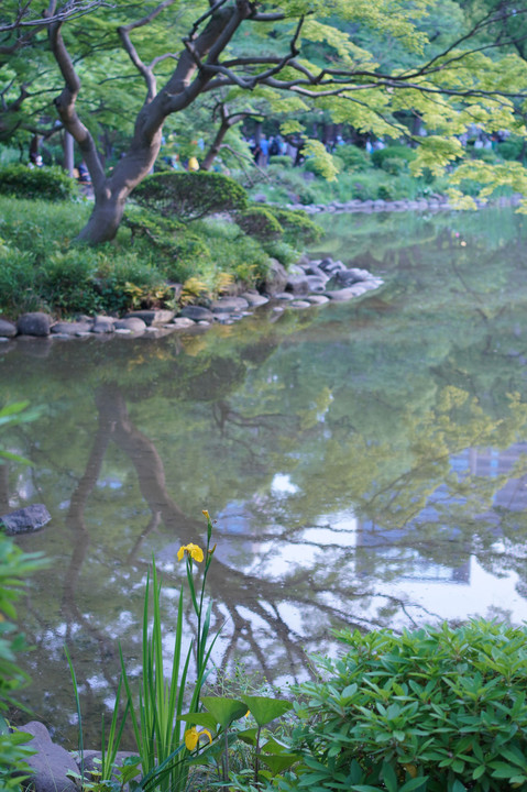 新緑の日比谷公園