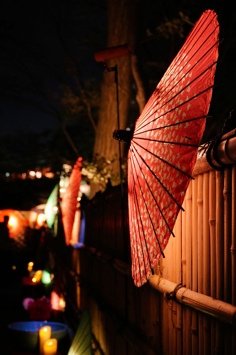 上野東照宮 ぼたん苑 冬のライトアップ