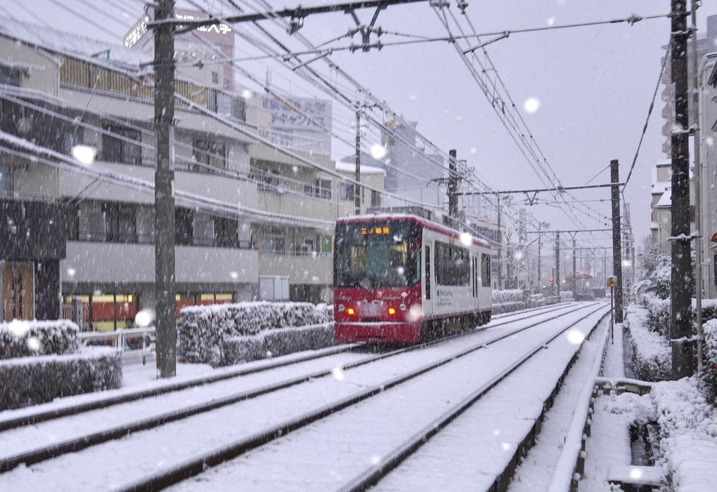 雪の都電荒川線