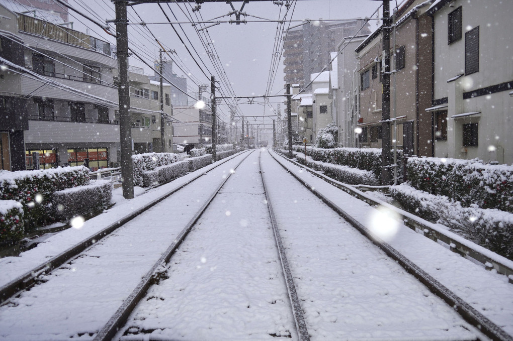 雪の都電荒川線