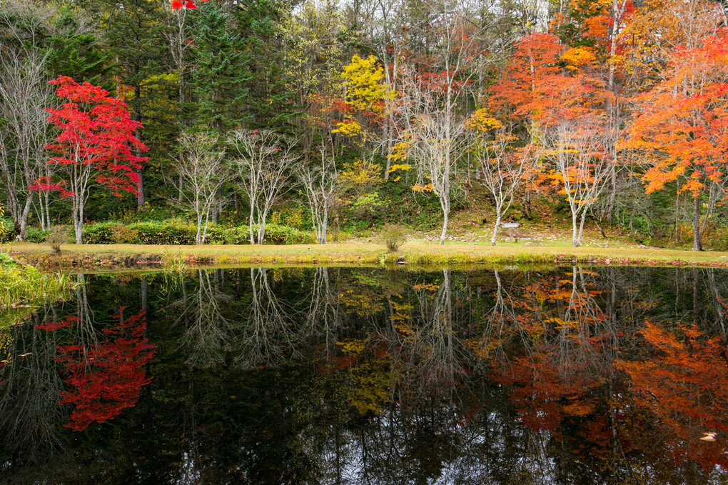 魅惑の山荘庭園