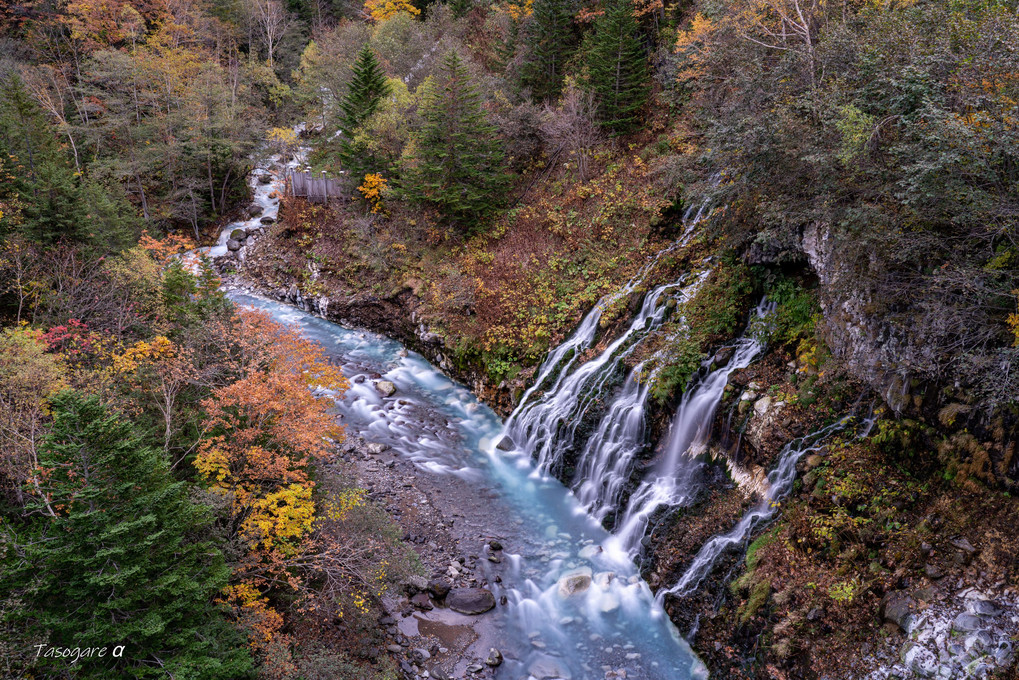 秋に彩る・しらひげの滝