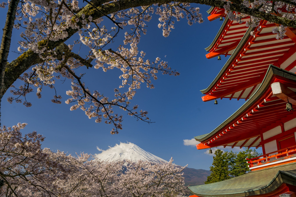 富士と桜と忠霊塔Ⅱ