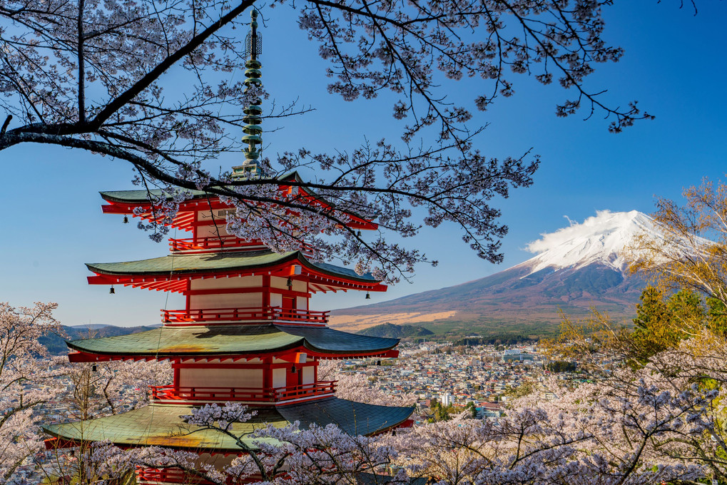 富士と桜と忠霊塔Ⅱ