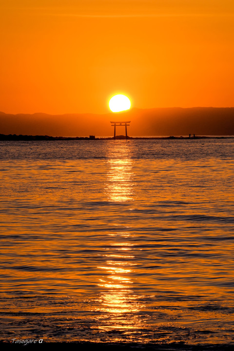 夕日に鳥居立つ