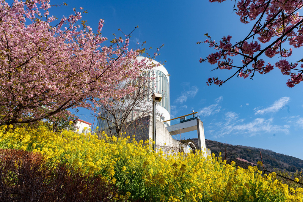 春の展望～松田山