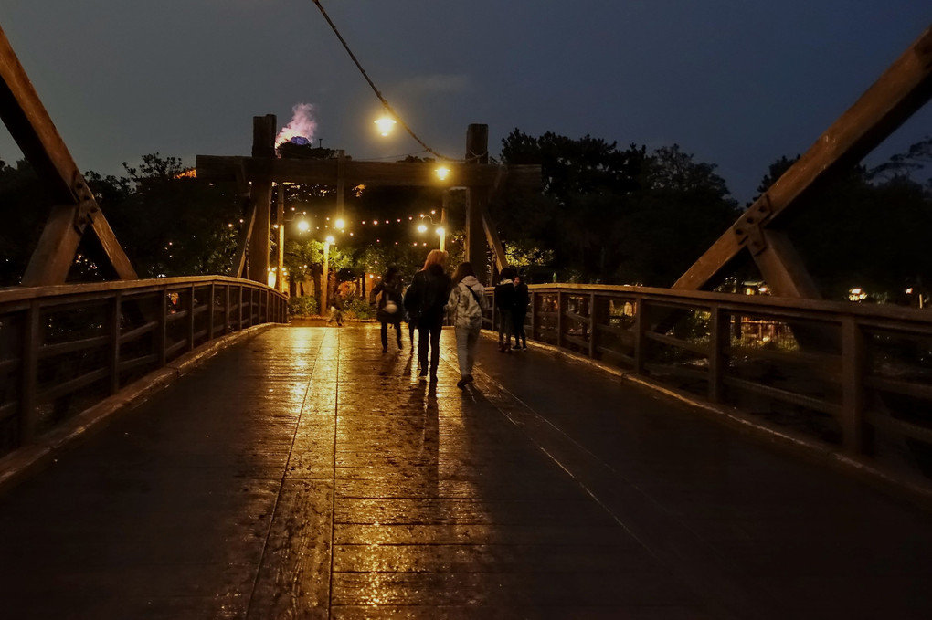 雨上がりのディズニーシー