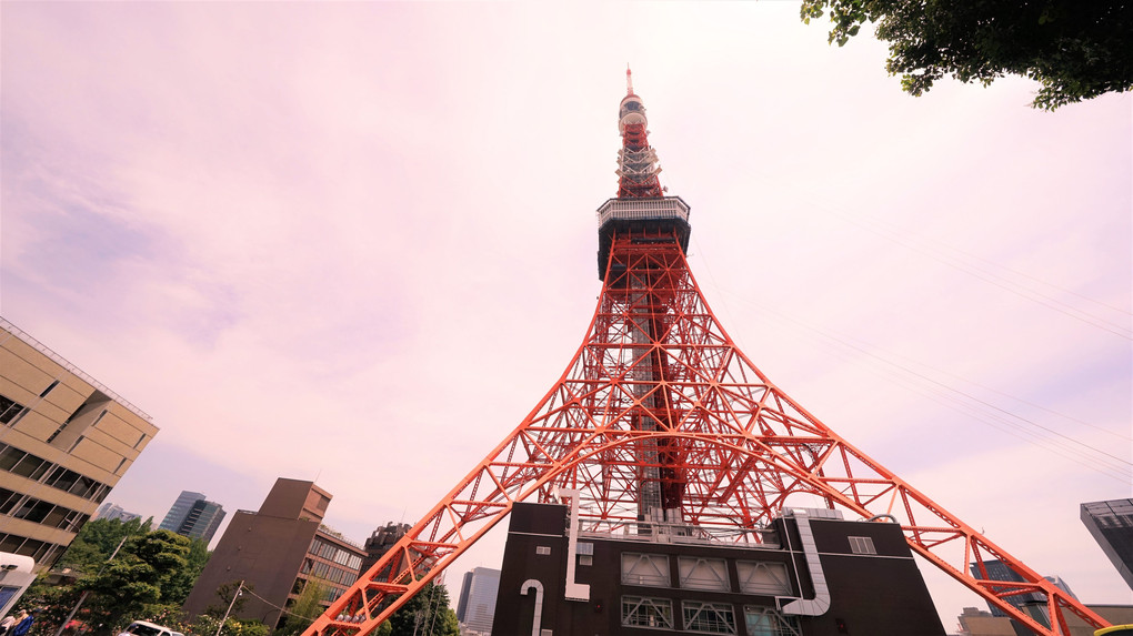 やっぱり東京タワーが好き💛♡