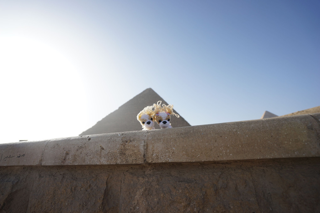 愛犬とクフ王のピラミッド